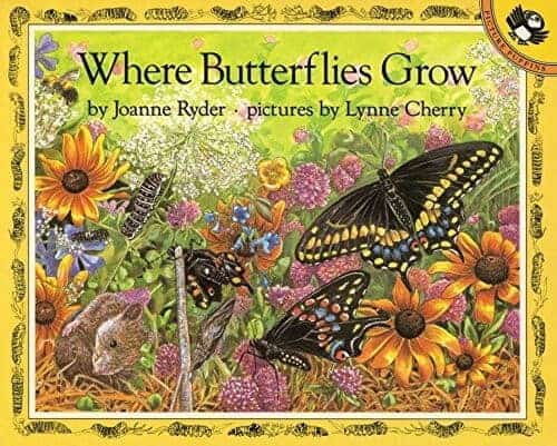 where butterflies grow a kids book about butterflies
