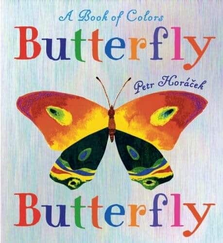 a book of colors butterfly book for kids