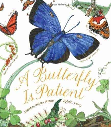 a butterfly book for kids called a butterfly is patient