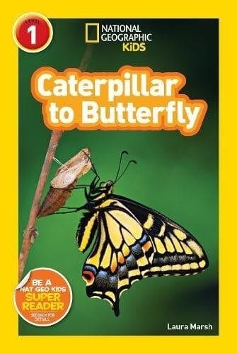 caterpillar-butterfly book for kids