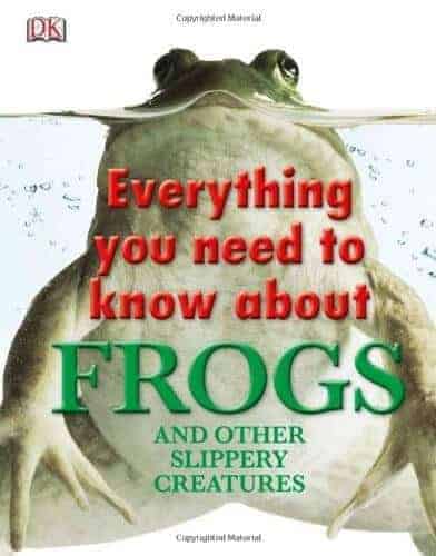 everything about frogs and a book for kids