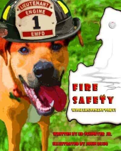 fire safety lieutenant