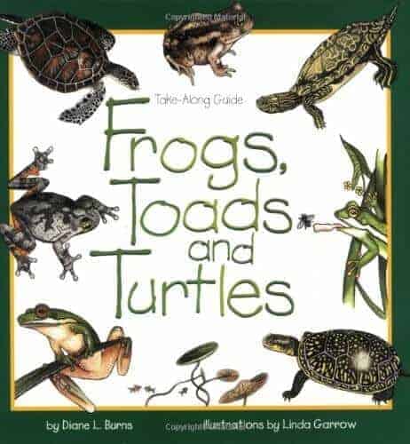 Frogs, toads and turtles kids books