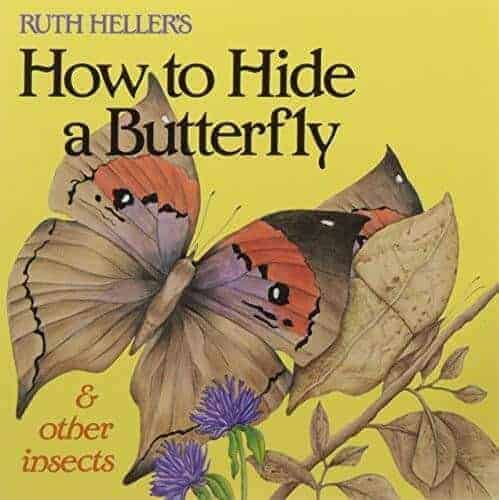 how to hide a butterfly a book for kids about butterflies