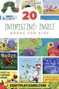 The Best Insect Books For Preschoolers - Craft Play Learn