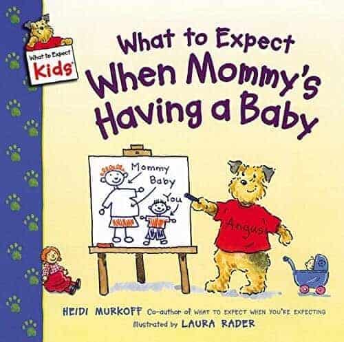 what to expect when mommy's having a new baby a book for kids