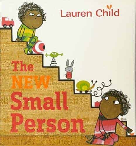 the small new person a book about being a big brother or big sister