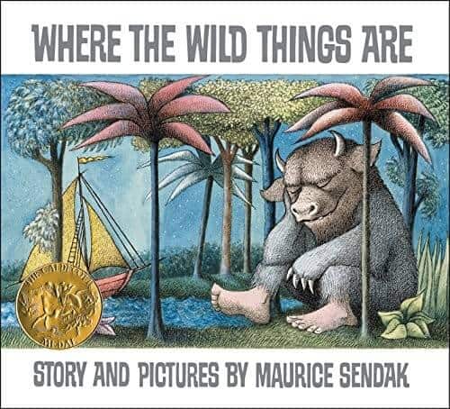 where the wild things are preschool book