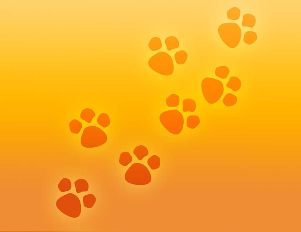 paw print