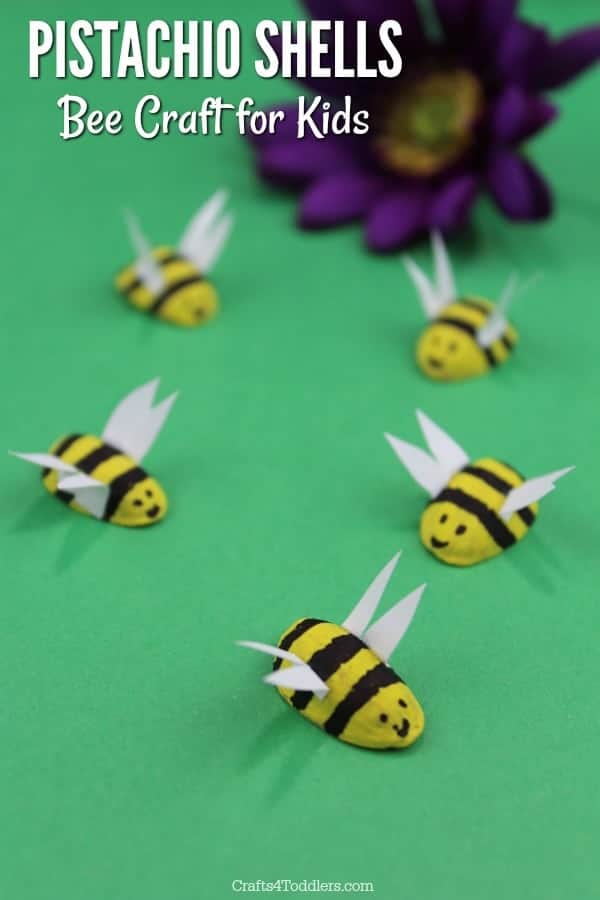 pistachio shell bees