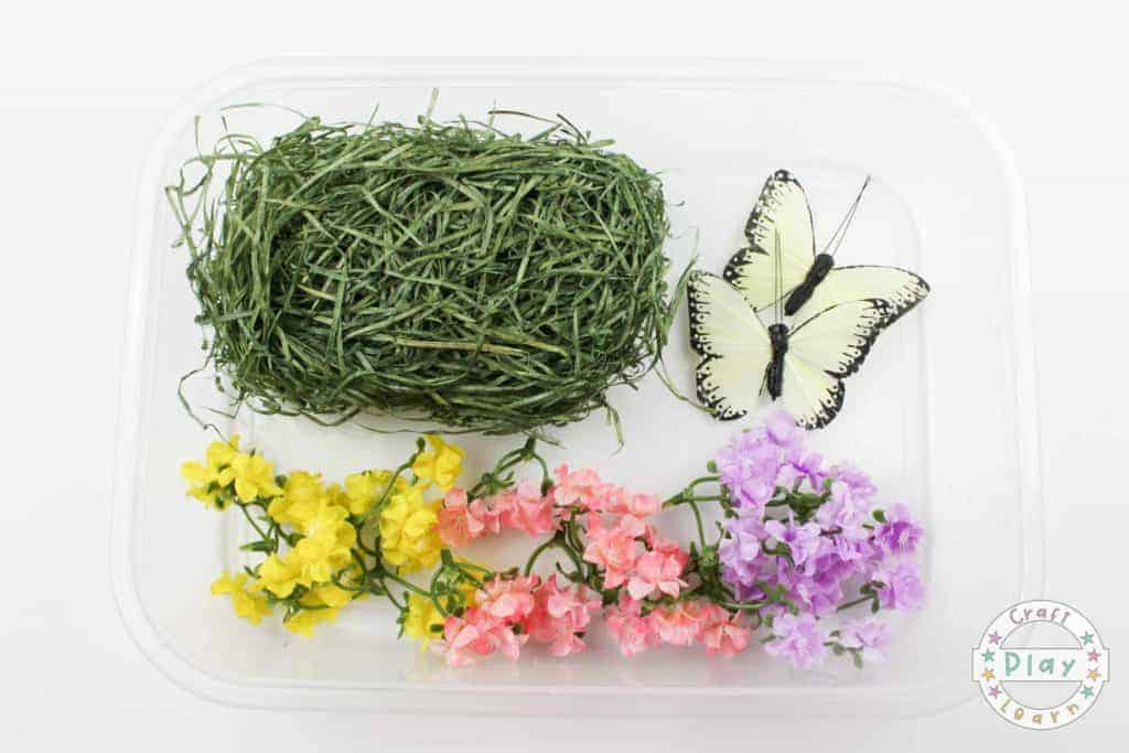 butterfly garden