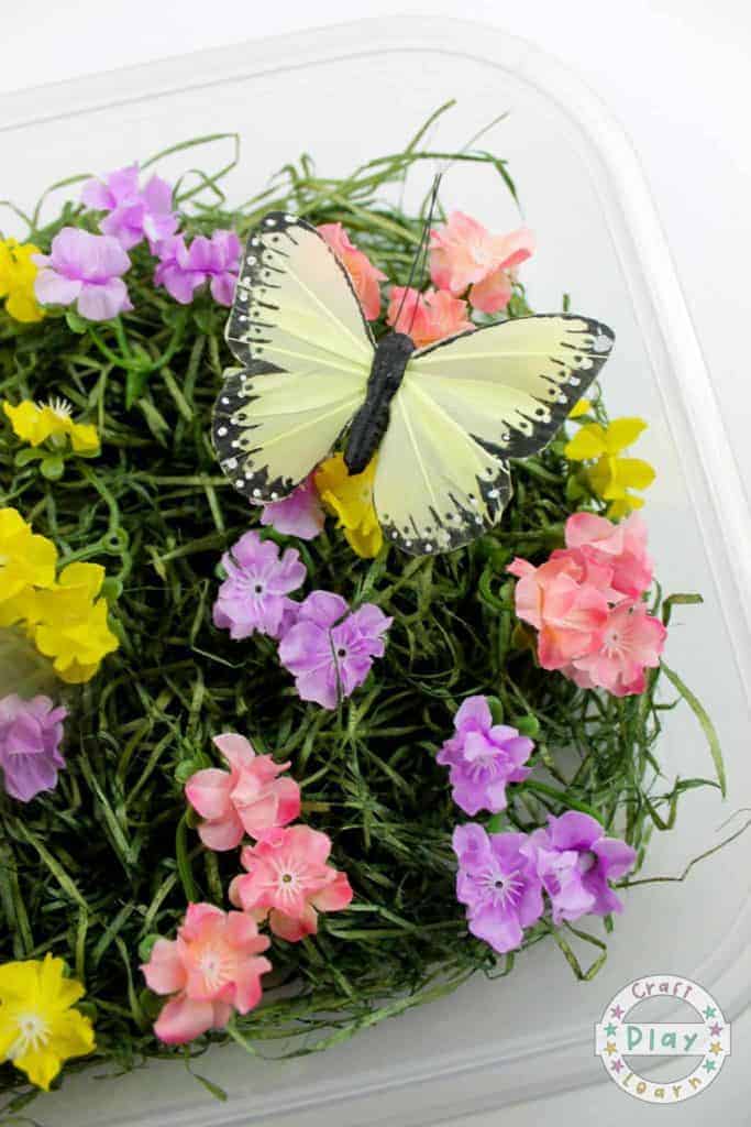butterfly garden