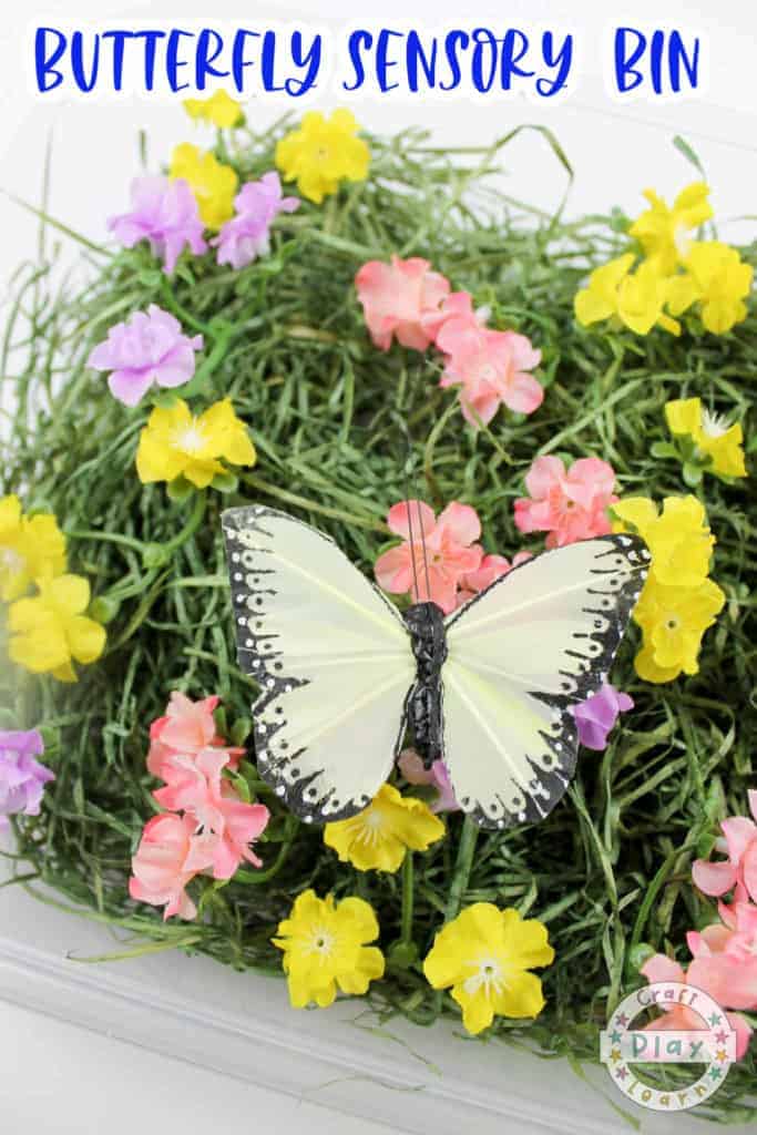 butterfly garden
