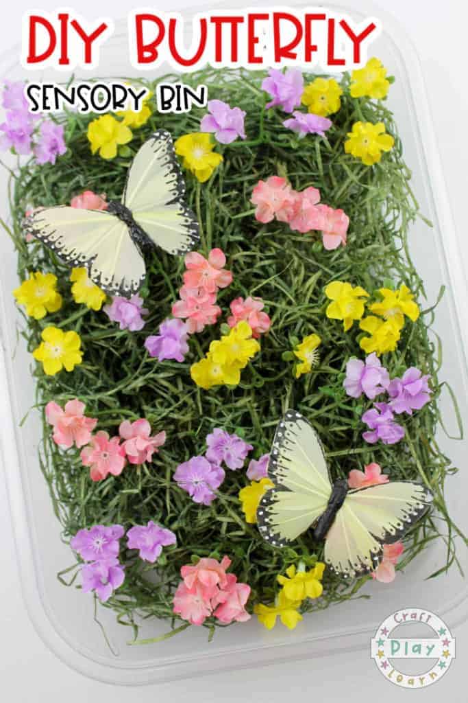 butterfly garden
