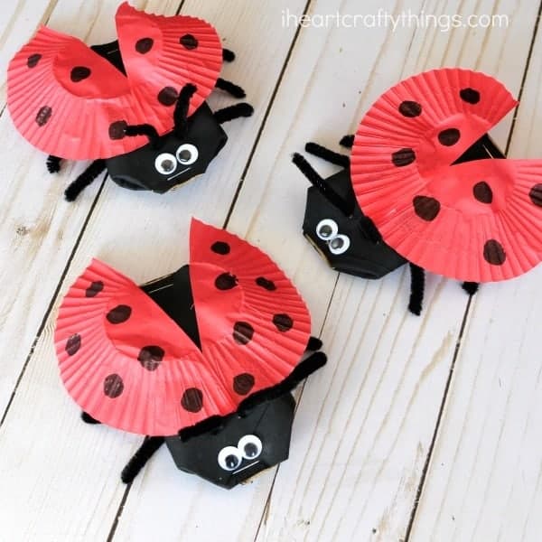 Ladybug Crafts