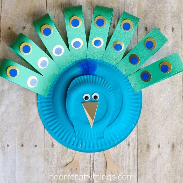 Bird Crafts