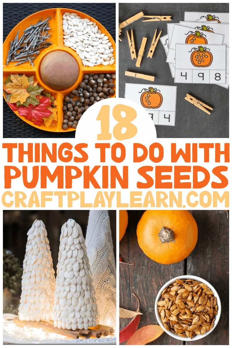 Pumpkin Seed Activities For Kids - Craft Play Learn