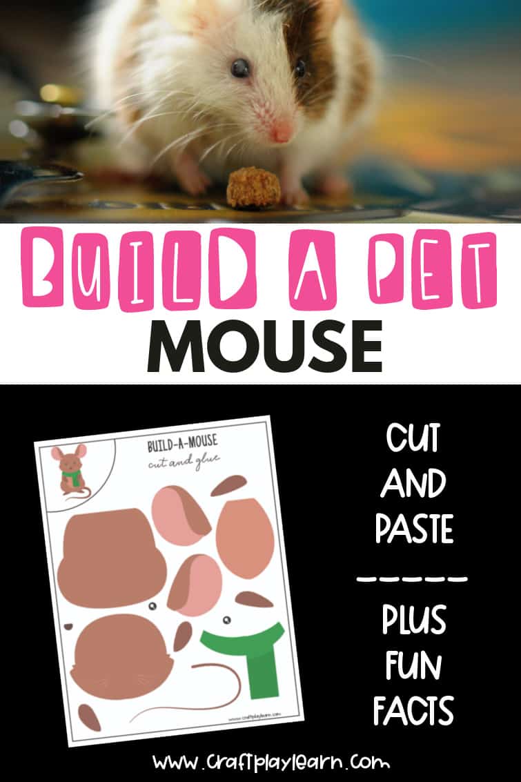 Build A Mouse Craft Cut And Paste Craft Play Learn