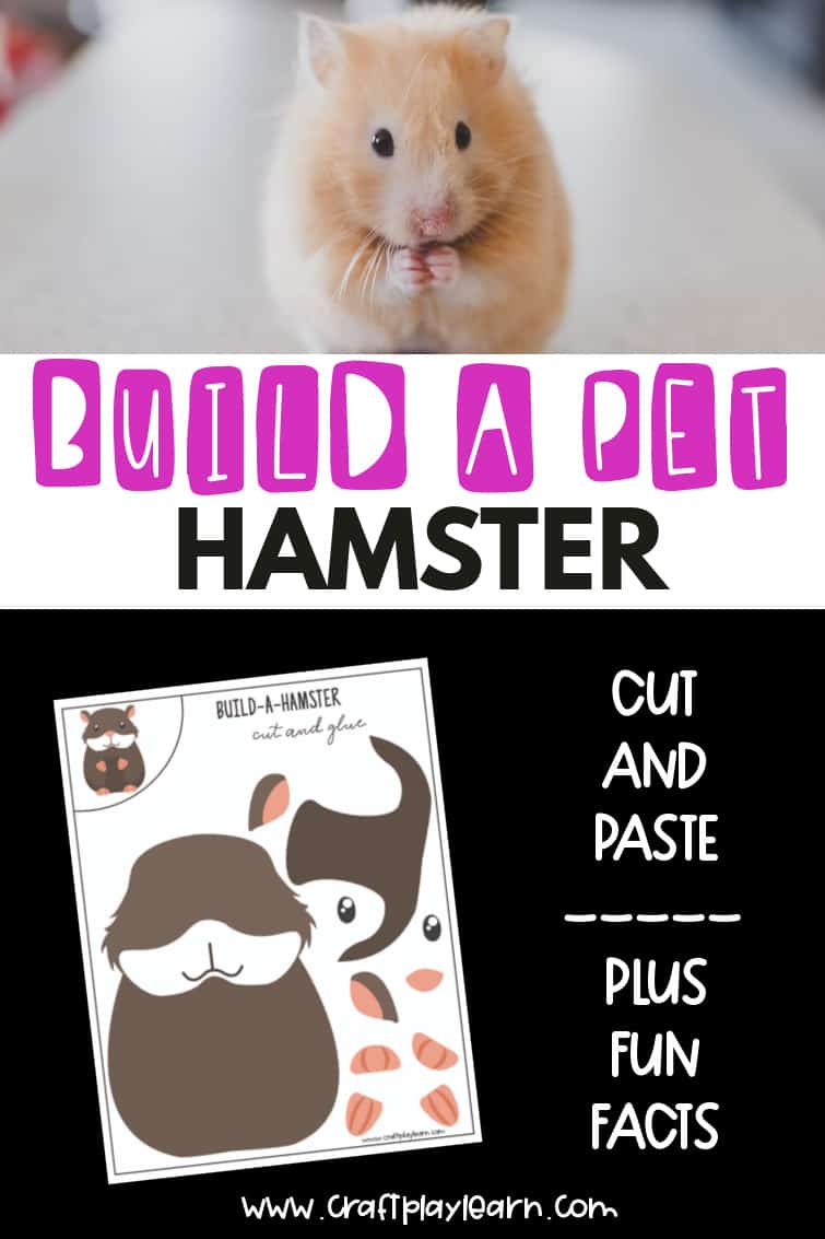 Hamster Crafts Cut And Paste Activity Craft Play Learn