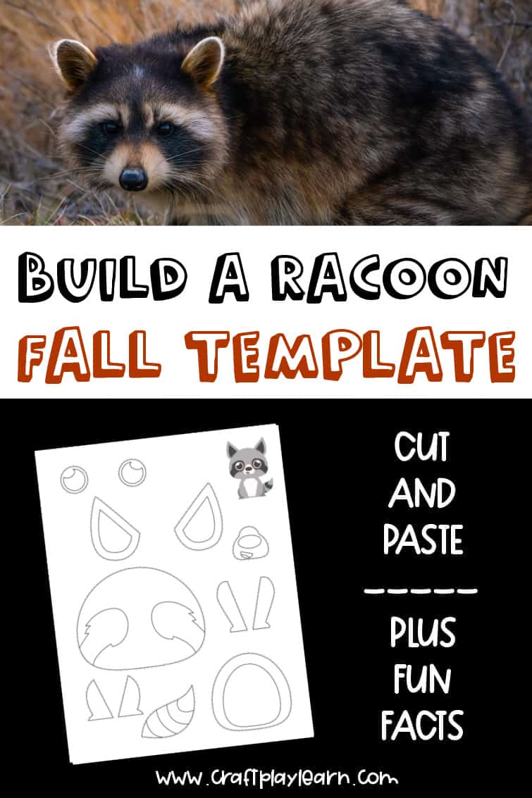 Kids Fun Racoon Template: Fall Animal Printable - Craft Play Learn Kids Fun Racoon Template: Fall Animal Printable - Craft Play Learn