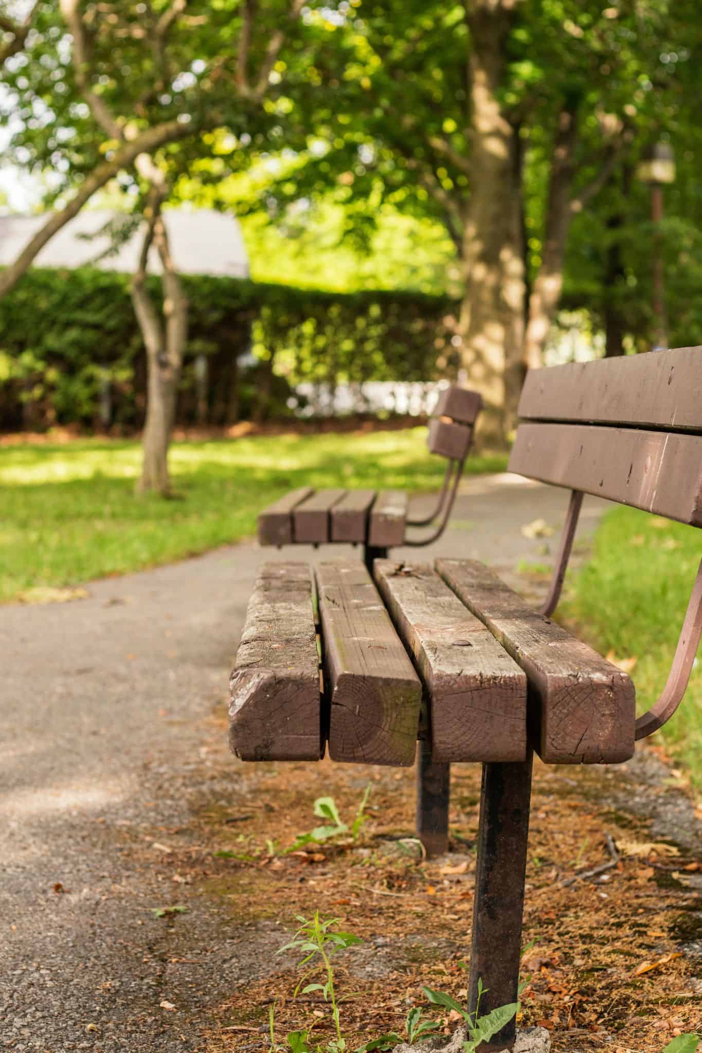 Ways To Make Field Trips to the Park More Fun
