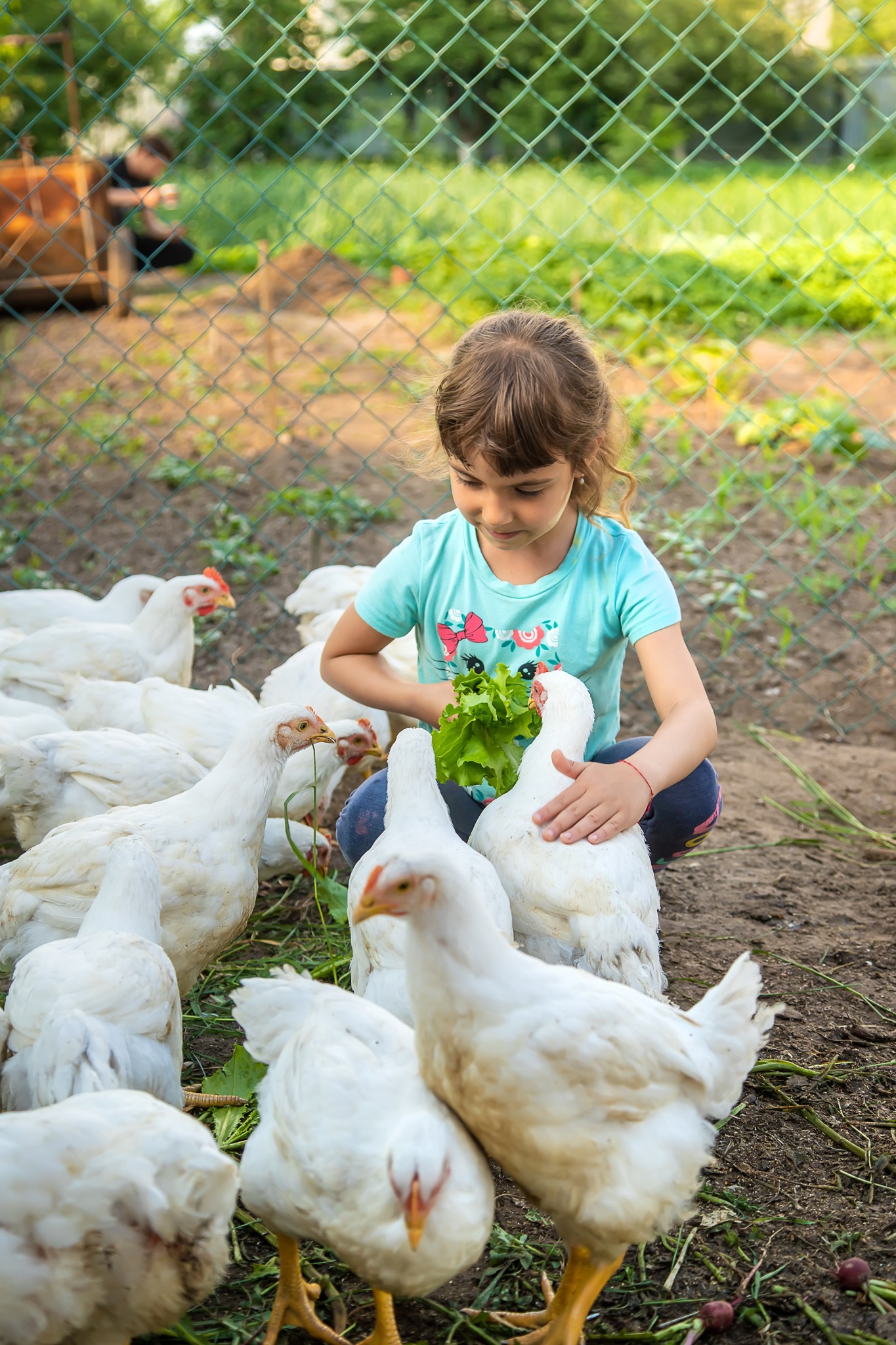 Things To Know Before Getting Backyard Chickens - Craft Play Learn
